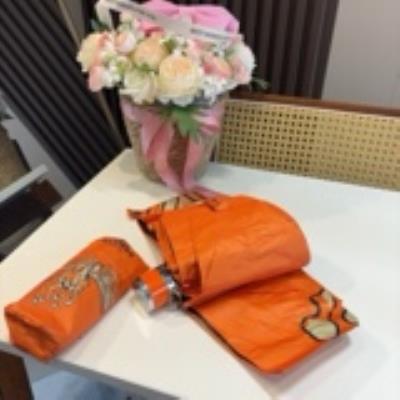 wholesale quality hermes umbrella model no. 2